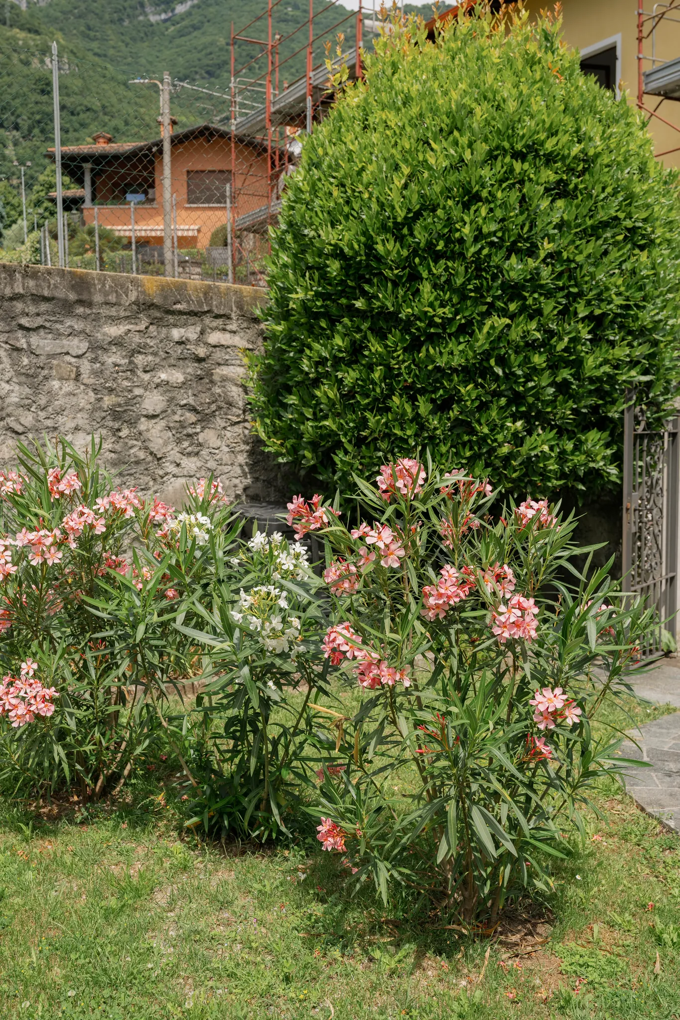 Terrasse & Garten · Garten – Cà de Sura