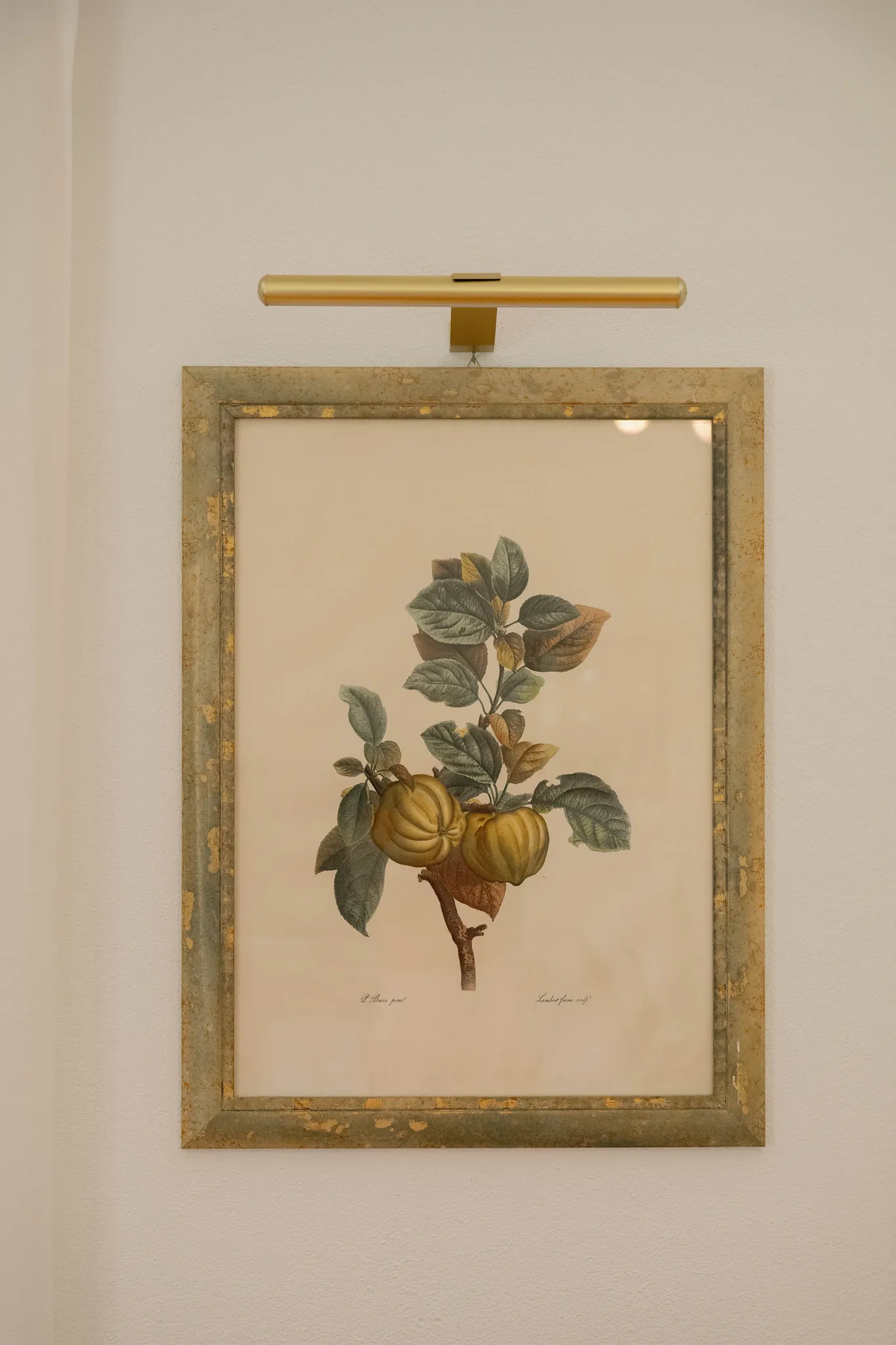 Wohnzimmer & Küche · Detail (6) – Cà de Sura