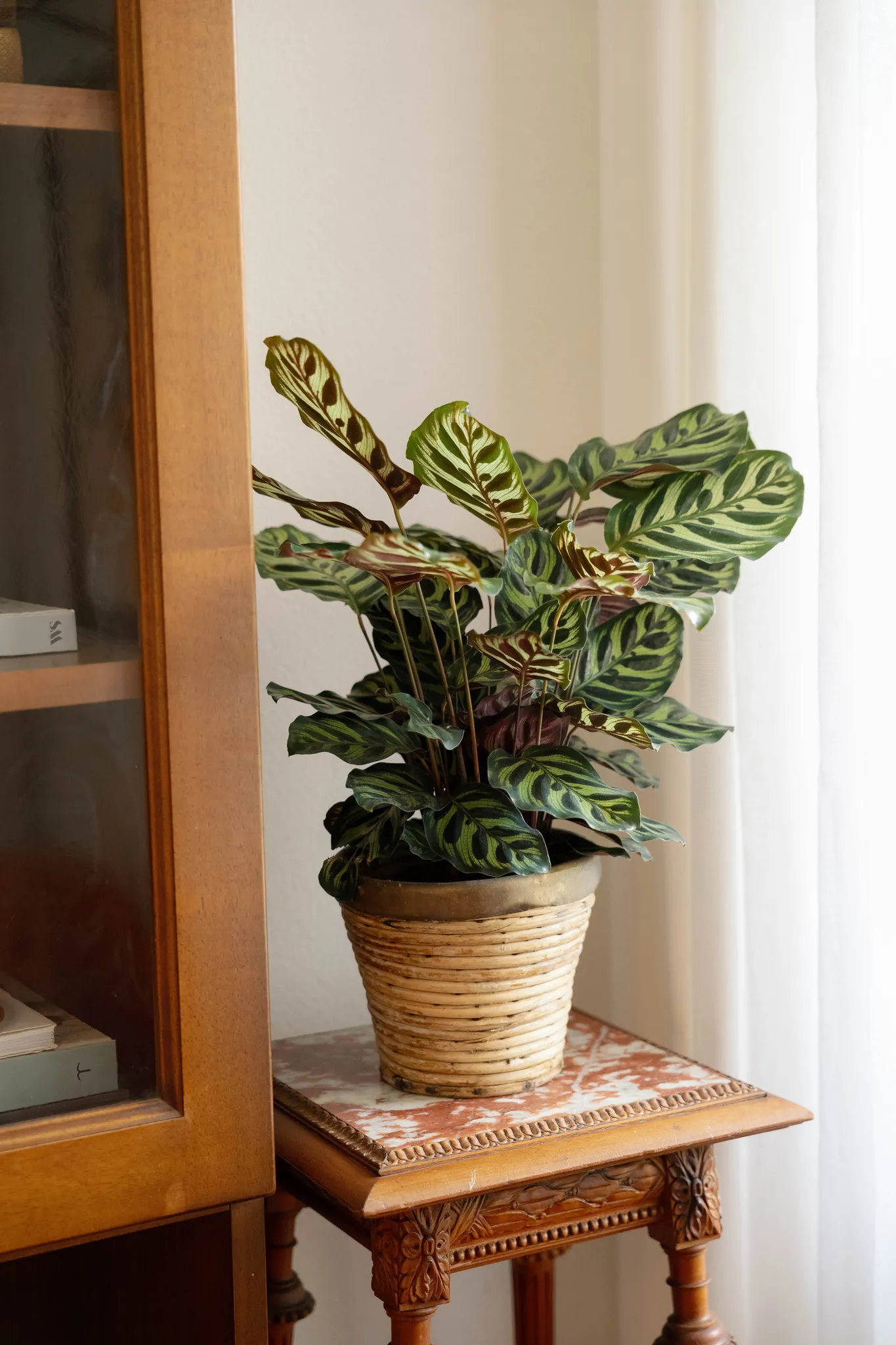 Wohnzimmer & Küche · Detail (7) – Cà de Sura